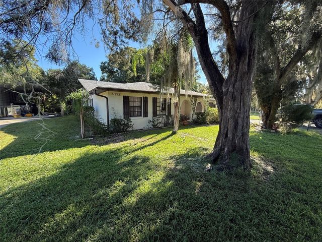 11813 OCKLAWAHA DRIVE, Leesburg, FL 34788