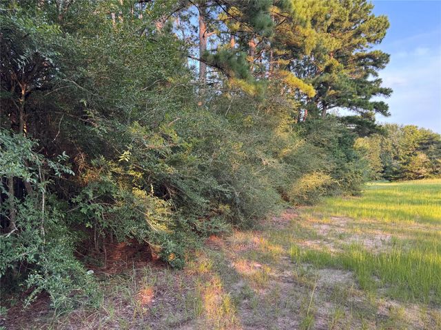 21269 Bracewell Road, Bedias, TX 77831
