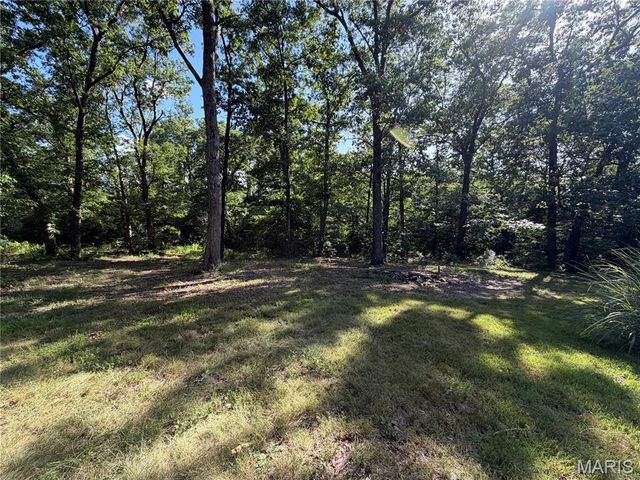 719 White Dogwood Court, St Clair, MO 63077