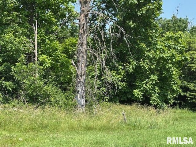 TBD Penco Avenue, Centralia, IL 62801