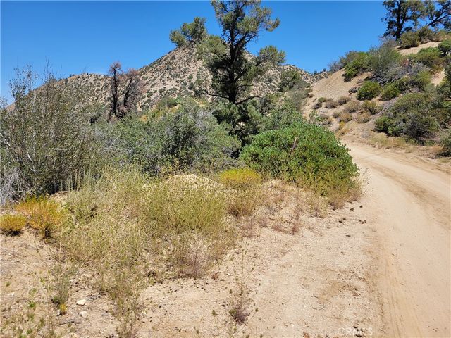 0 Old Oak Springs Valley Road, Wrightwood, CA 92397