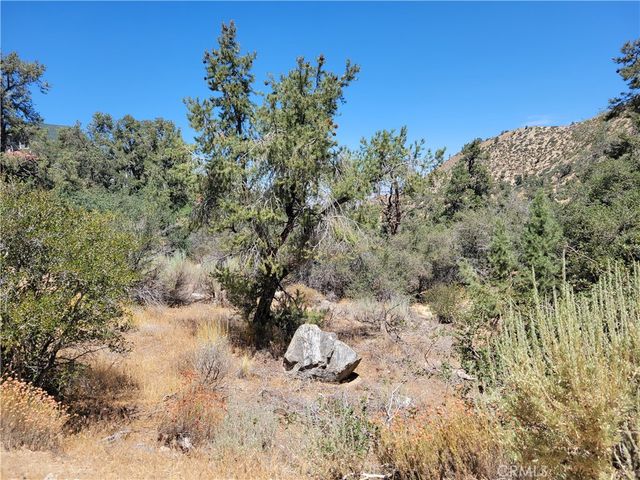 0 Old Oak Springs Valley Road, Wrightwood, CA 92397