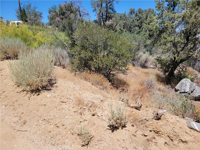 0 Old Oak Springs Valley Road, Wrightwood, CA 92397