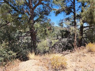 0 Old Oak Springs Valley Road, Wrightwood, CA 92397