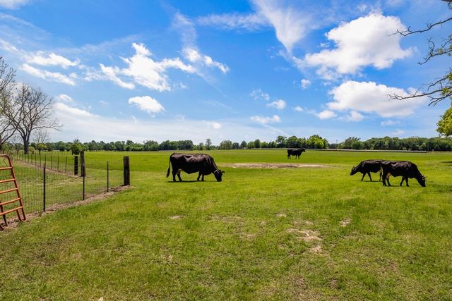 290 Vz County Road 3222, Wills Point, TX 75169