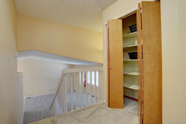 162 S Tilbury Avenue, Castle Rock, CO 80104