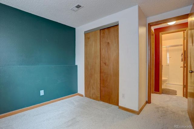 162 S Tilbury Avenue, Castle Rock, CO 80104