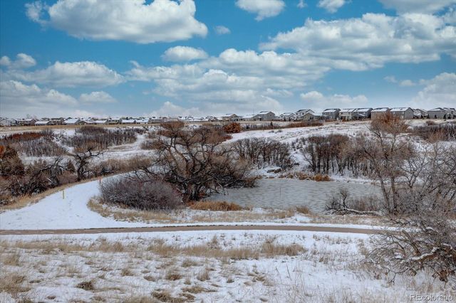 162 S Tilbury Avenue, Castle Rock, CO 80104