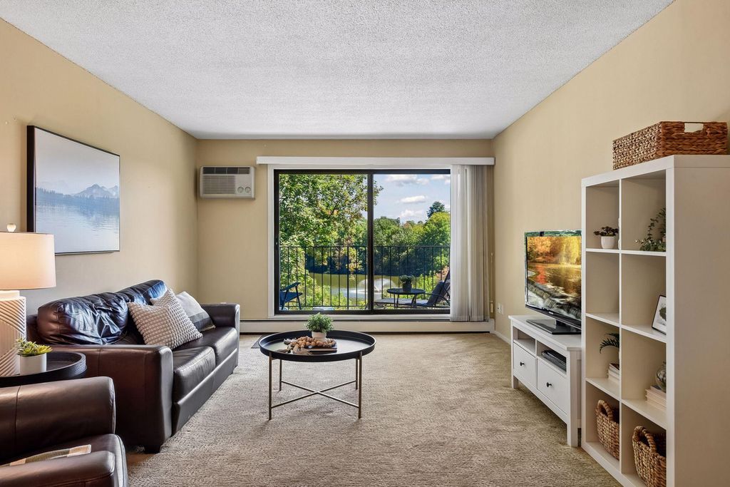 215 Barry Avenue S 217, Wayzata, MN 55391 — photo 3