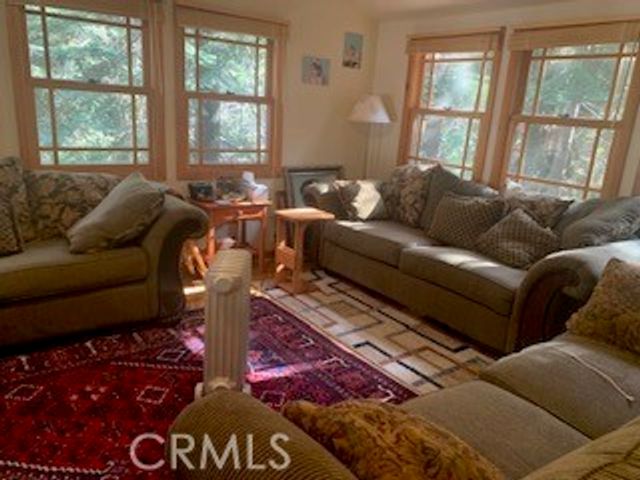 402 Burnt Mill Canyon Road, Cedarpines Park, CA 92322