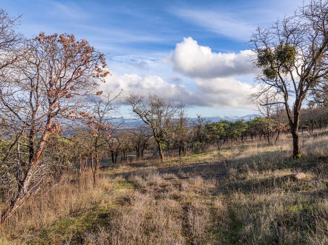 445 Mt Castle Drive, Eagle Point, OR 97524