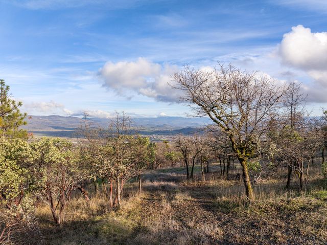 445 Mt Castle Drive, Eagle Point, OR 97524