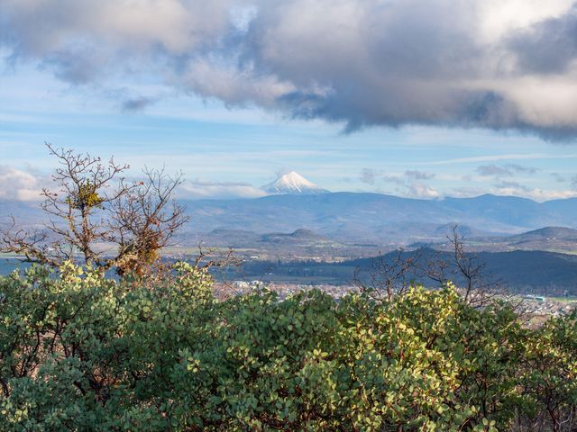 445 Mt Castle Drive, Eagle Point, OR 97524