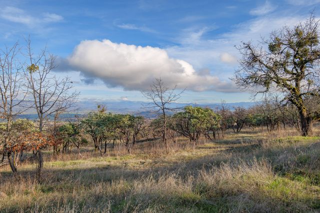 445 Mt Castle Drive, Eagle Point, OR 97524