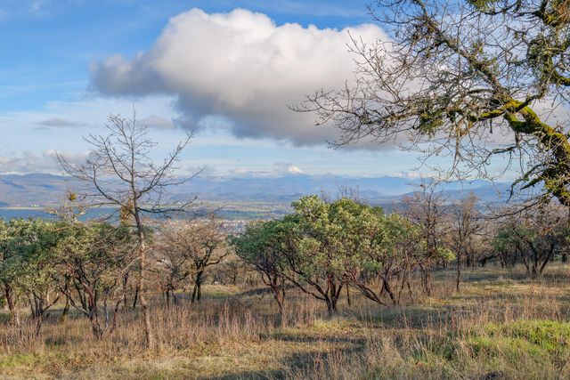445 Mt Castle Drive, Eagle Point, OR 97524