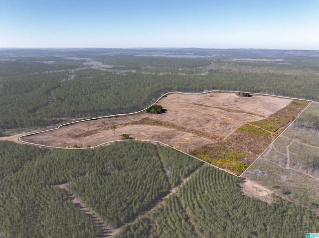 561 LAKEWOOD DRIVE, Columbiana, AL 35051