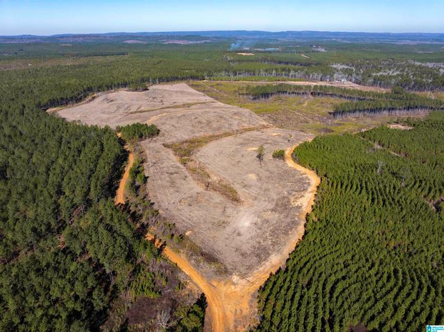 561 LAKEWOOD DRIVE, Columbiana, AL 35051