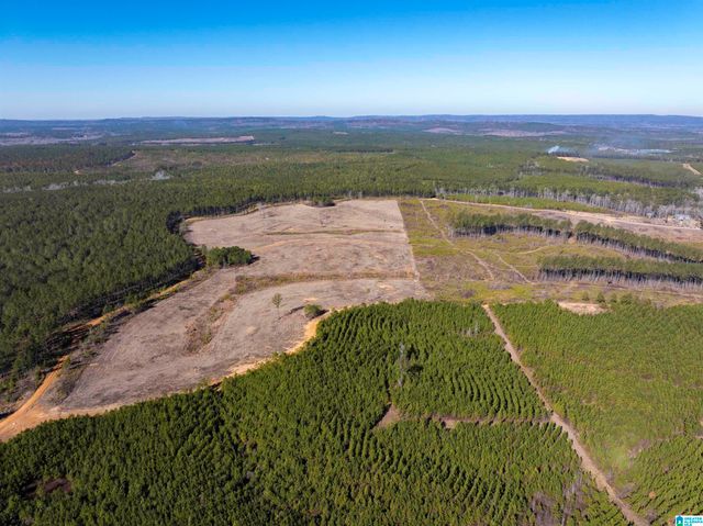 561 LAKEWOOD DRIVE, Columbiana, AL 35051