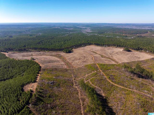 561 LAKEWOOD DRIVE, Columbiana, AL 35051