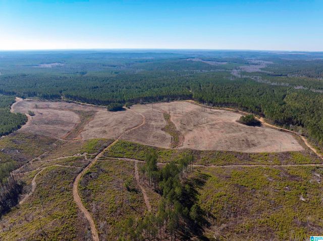 561 LAKEWOOD DRIVE, Columbiana, AL 35051