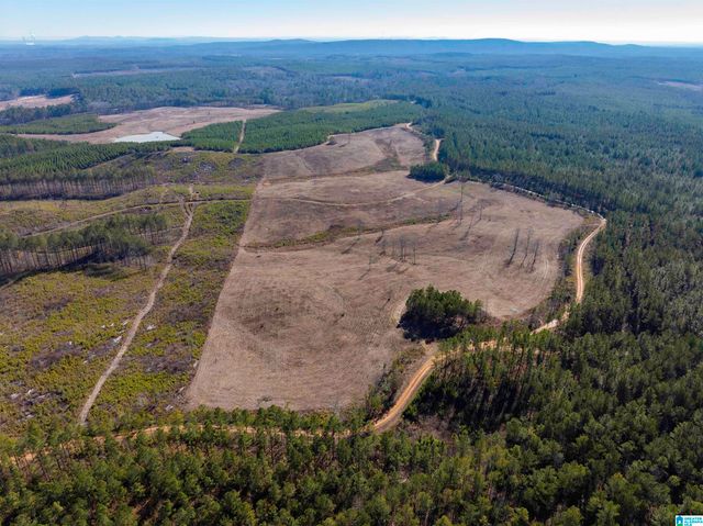 561 LAKEWOOD DRIVE, Columbiana, AL 35051