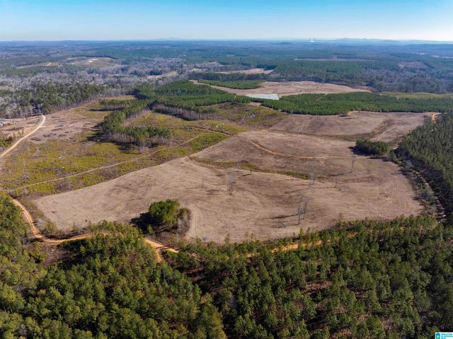 561 LAKEWOOD DRIVE, Columbiana, AL 35051