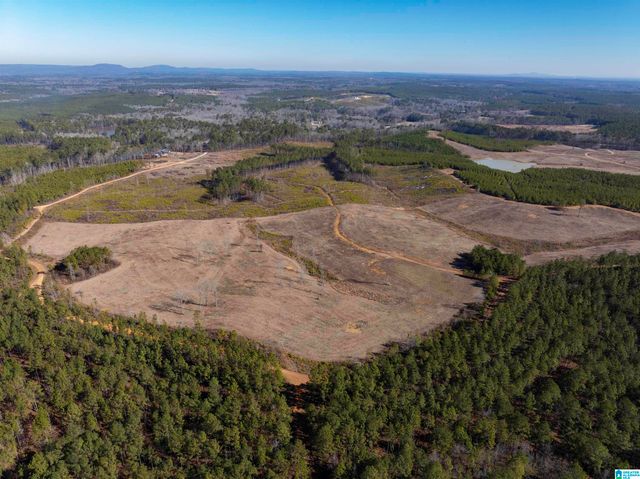 561 LAKEWOOD DRIVE, Columbiana, AL 35051