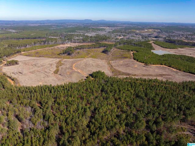 561 LAKEWOOD DRIVE, Columbiana, AL 35051