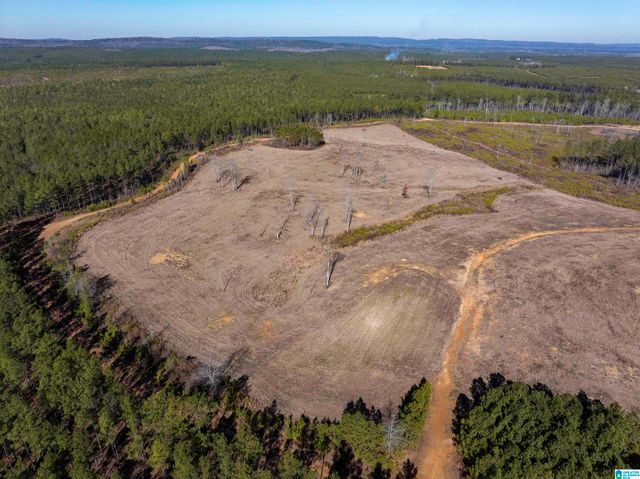 561 LAKEWOOD DRIVE, Columbiana, AL 35051