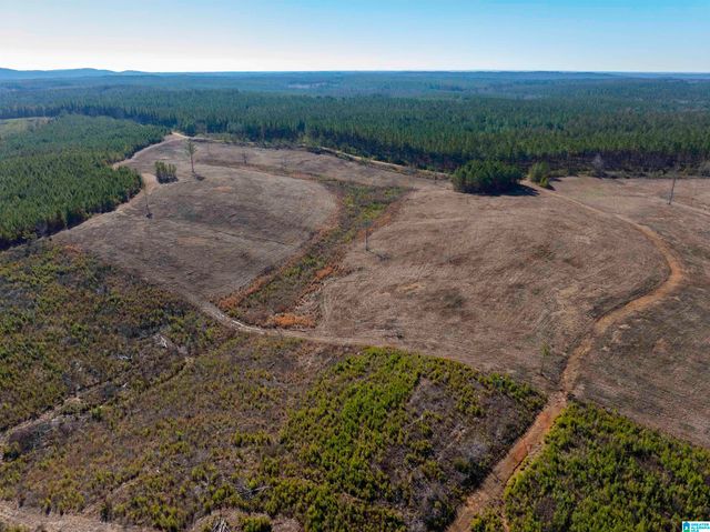 561 LAKEWOOD DRIVE, Columbiana, AL 35051