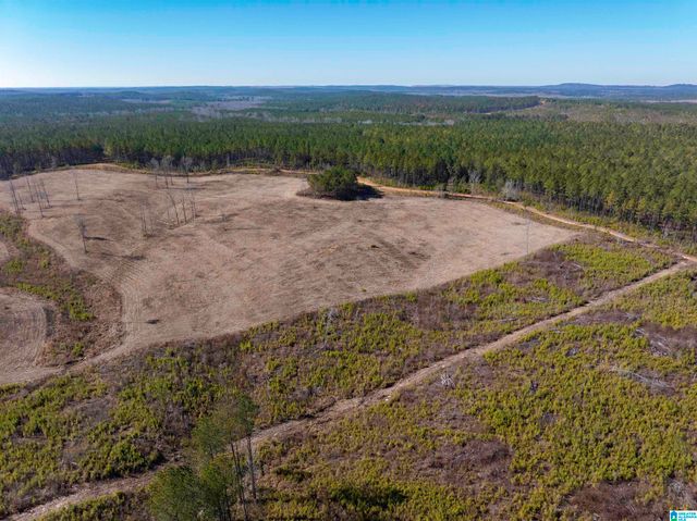 561 LAKEWOOD DRIVE, Columbiana, AL 35051