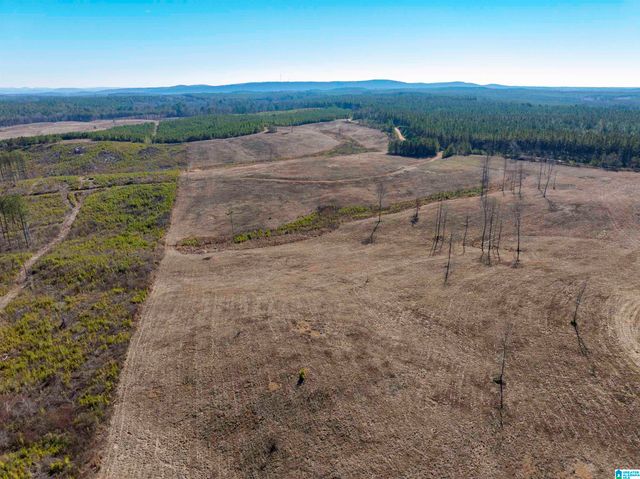 561 LAKEWOOD DRIVE, Columbiana, AL 35051