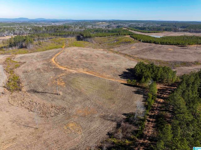 561 LAKEWOOD DRIVE, Columbiana, AL 35051