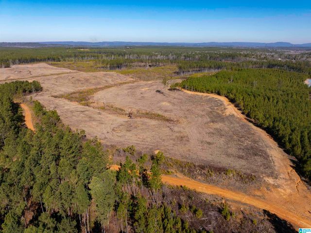 561 LAKEWOOD DRIVE, Columbiana, AL 35051