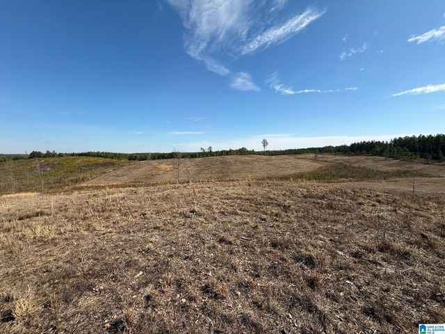 561 LAKEWOOD DRIVE, Columbiana, AL 35051