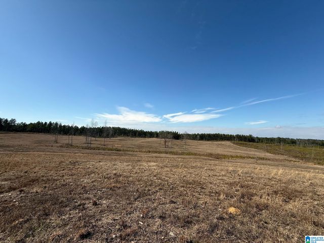 561 LAKEWOOD DRIVE, Columbiana, AL 35051