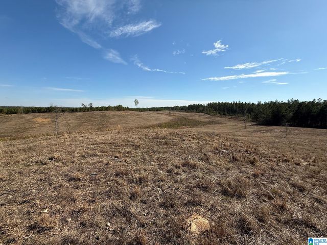 561 LAKEWOOD DRIVE, Columbiana, AL 35051