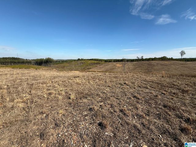 561 LAKEWOOD DRIVE, Columbiana, AL 35051