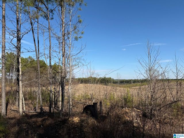 561 LAKEWOOD DRIVE, Columbiana, AL 35051