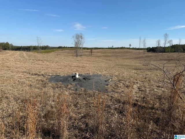 561 LAKEWOOD DRIVE, Columbiana, AL 35051