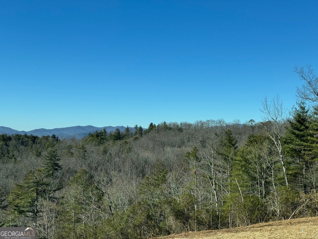 LOT 26 Anderson Drive, Clayton, GA 30525 — photo 5