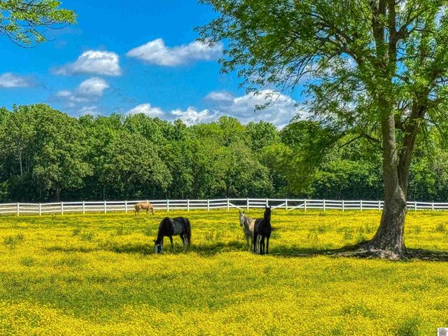 730 Rob Mason Road, Murray, KY 42071