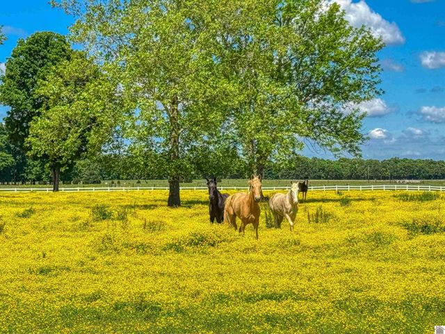 730 Rob Mason Road, Murray, KY 42071