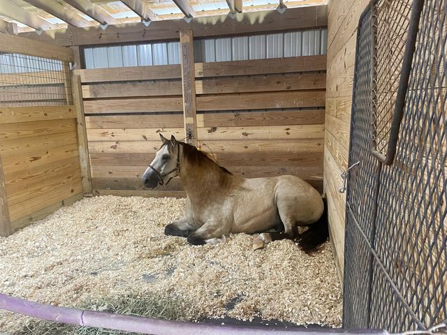 106 Sand Piper Court, Midway, KY 40347