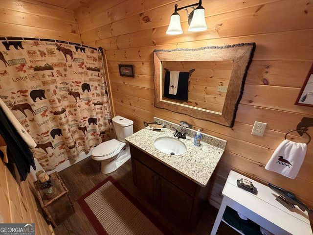 740 Highland Gap, Mineral Bluff, GA 30559