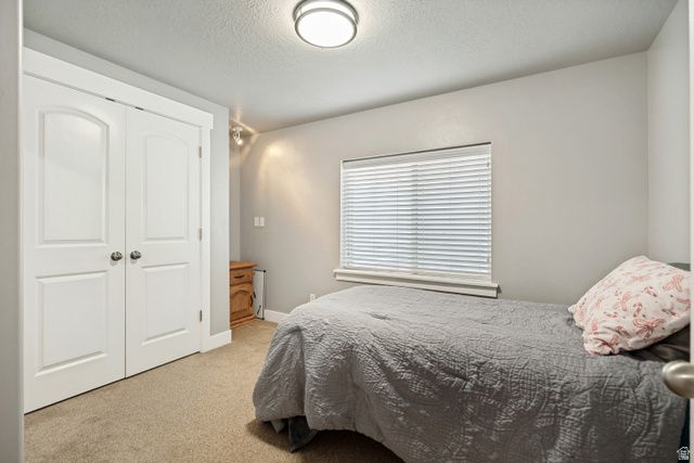 719 W SHAVEY LN, Springville, UT 84663