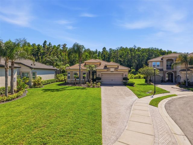 30852 SPRUCEBERRY COURT, Wesley Chapel, FL 33543