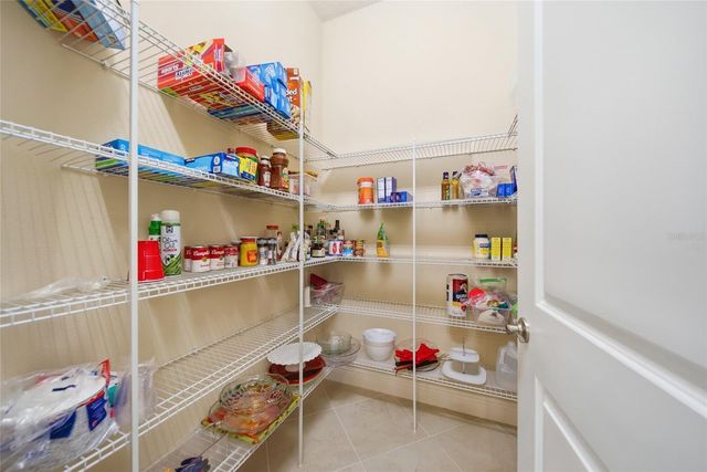30852 SPRUCEBERRY COURT, Wesley Chapel, FL 33543