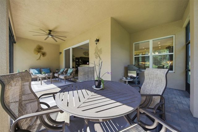 30852 SPRUCEBERRY COURT, Wesley Chapel, FL 33543