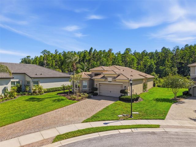30852 SPRUCEBERRY COURT, Wesley Chapel, FL 33543